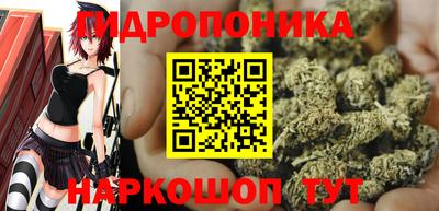 прущий лед Новозыбков